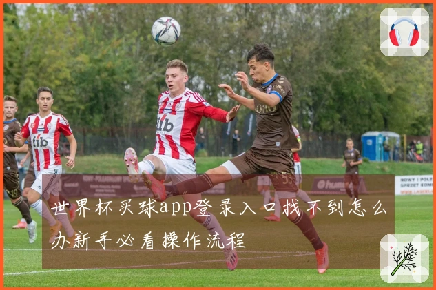 世界杯买球app登录入口找不到怎么办新手必看操作流程